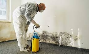 Best Biohazard Mold Removal  in Brownsville, LA