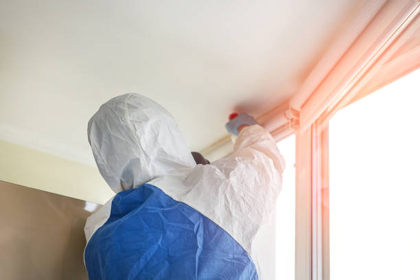 Mold Odor Removal Services in Brownsville, LA