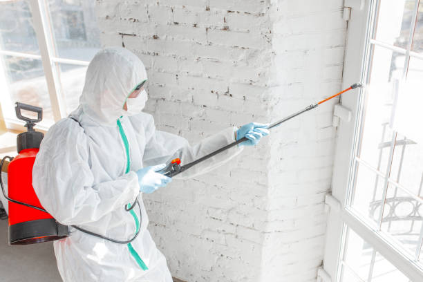 Best Industrial Mold Remediation  in Brownsville, LA